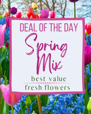 Deal of the Day - Spring Mix Flower Arrangement