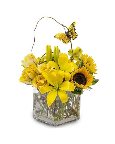 Butterfly Effect at Maple Glen Center Bouquet