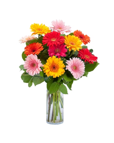 Grand Gerbera Flower Arrangement