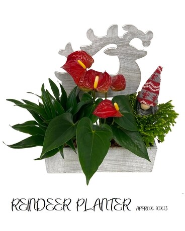 Reindeer Planter Flower Arrangement