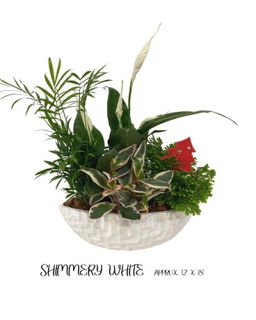 Shimmery White Flower Arrangement