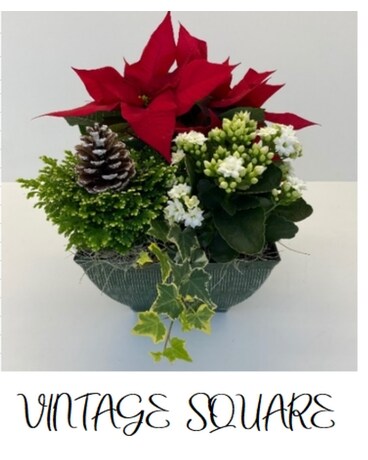 Vintage Square Flower Arrangement