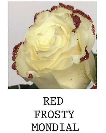 Red Frosty Mondial Flower Arrangement