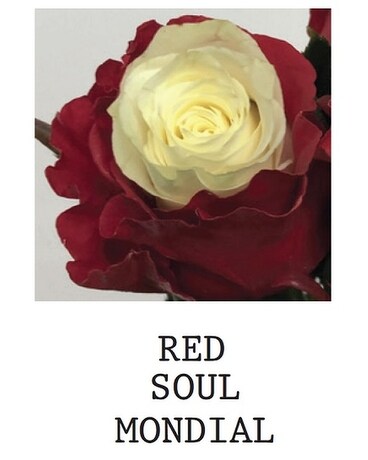 Red Soul Mondial Flower Arrangement
