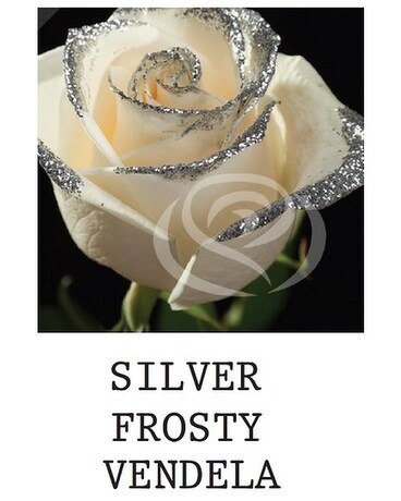 Silver Frosty Vendela Flower Arrangement