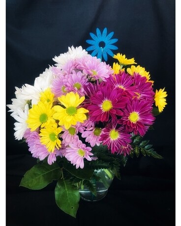 Oopsy Daisies Flower Arrangement