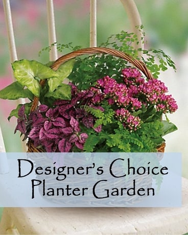 Designer’s Choice Planter Garden Flower Arrangement