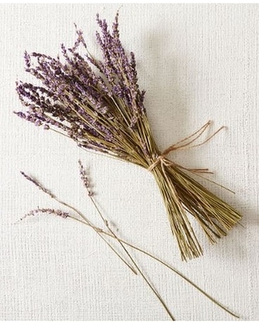 Sally's Dry Lavenders Dried Flowers