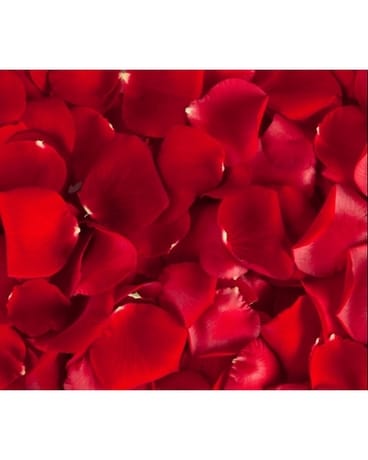 Fresh Red Rose Petals Flower Arrangement