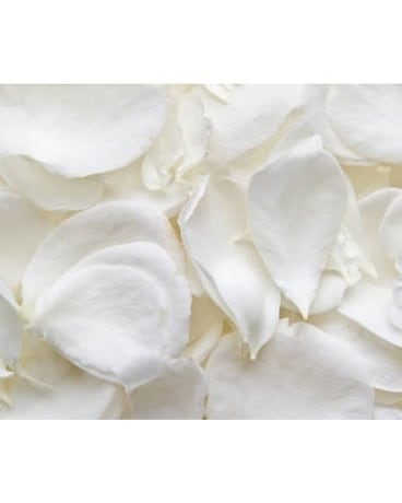 Fresh White Rose Petals Flower Arrangement
