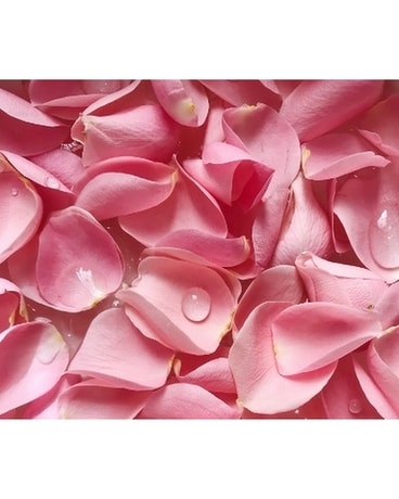 Fresh Pink Rose Petals Flower Arrangement