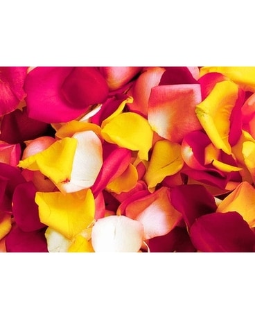Fresh Mix Colour Rose Petals Flower Arrangement