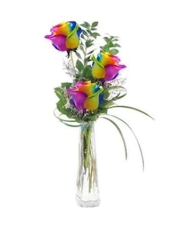THREE RAINBOW ROSES Flower Arrangement