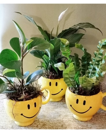 Designer Choice Petite Plant in Happy Face Mug Flower Arrangement