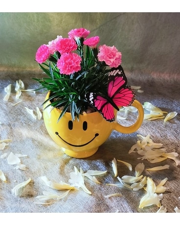 Carnation Plant In Happy Face Mug Plant