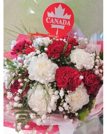HAPPY CANADA DAY CARNATIONS Bouquet