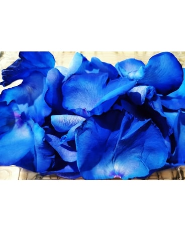 FRESH BLUE ROSE PETALS Flowers