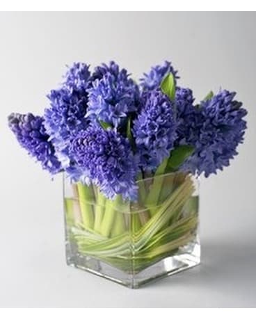 Fragrant Hyacinth-Purple Flower Arrangement