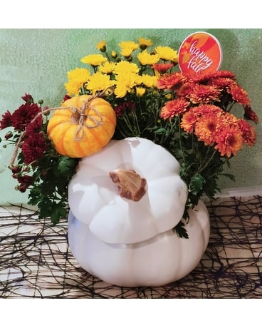 Chrysanthemum Plant in Pumpkin Container Plant