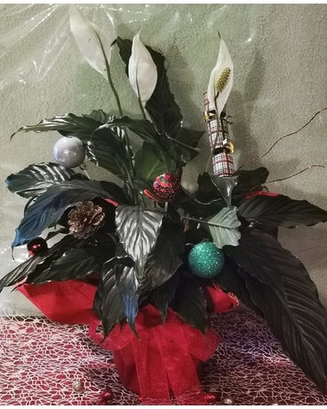Happy Holiday - Peace Lily Plant Plant