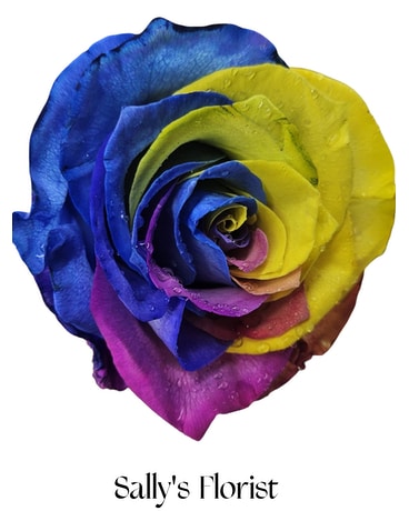 フラワー・リース colorful rainbow Garden Bouquet Colors Of The Rainbow Bouquet in Sudbury ON - Regency