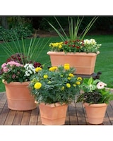 Standard size,  inches height and  inches wide.