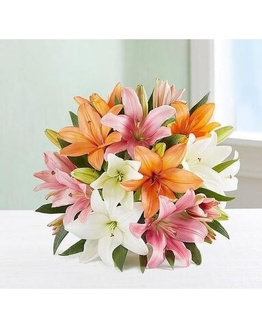 Sally's Colorful Lily Wrapped Bouquet Bouquet