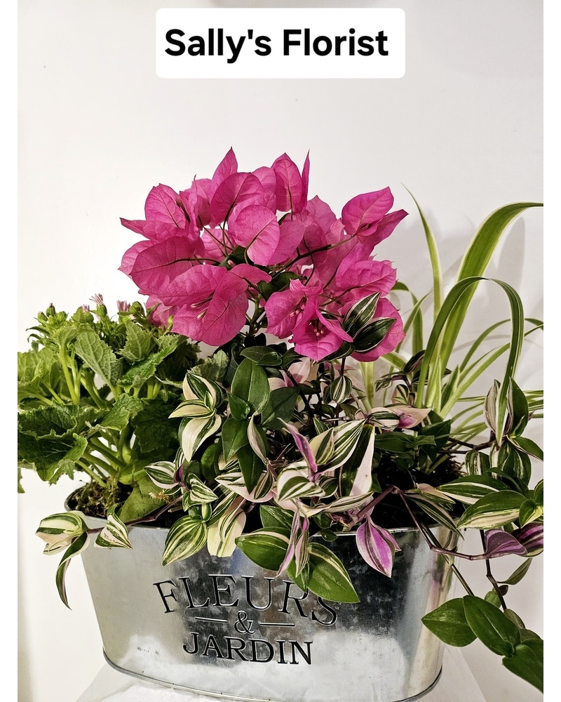 Sally's Fleur Jardin Planter in Tsawwassen BC - Sally's Florist