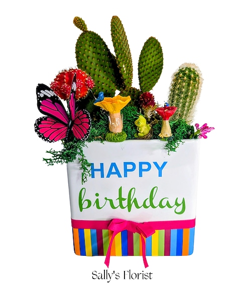 Sally's Happy Birthday Succulents in Maple Ridge BC - Sally Florist
