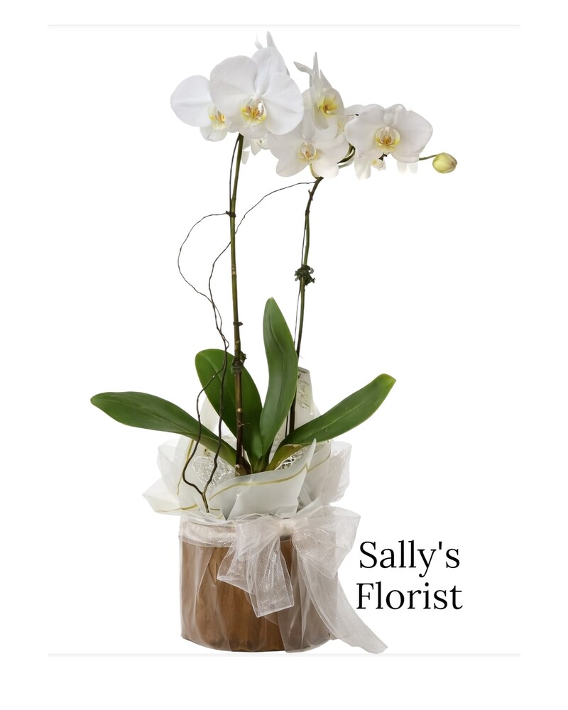 Sally Everlasting Bloom Boutique in New Westminster BC - Sally