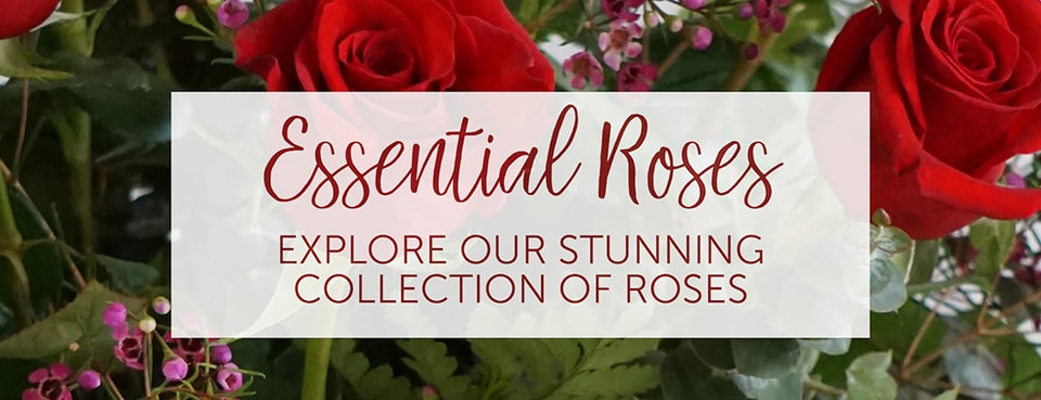 Blossom Shop Same Day Flower Delivery In Cary Nc