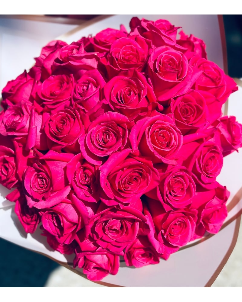 【ramos】 Hot Pink Ramo in Berwyn IL - Berwyn's Violet Flower Shop