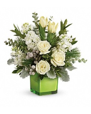 Teleflora's Winter Pop Bouquet Flower Arrangement