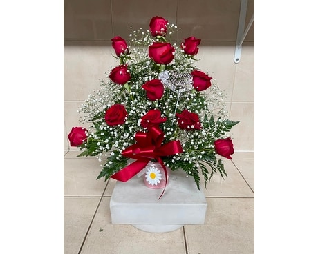 Dozen Red Rose Novelty Flower Arrangement