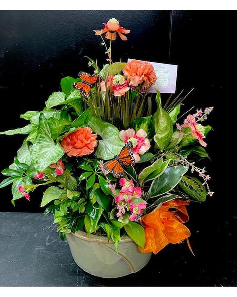 Dish Garden with fresh flowers in Frankfort IL - The Flower Cottage