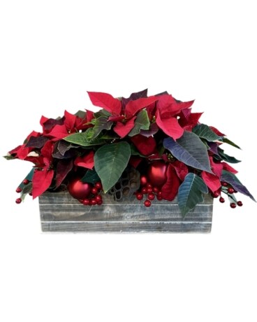 Poinsettia Tabletop Planter Flower Arrangement
