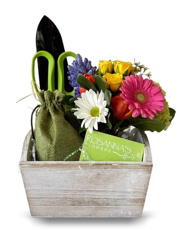 Plants Delivery Westerly RI - Rosanna's Flowers