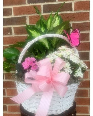 Spring Plant Basket Plant