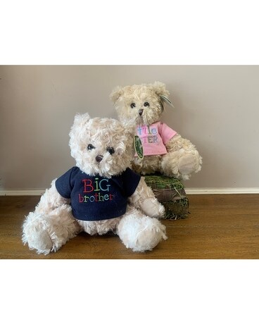 Sibling Plush Gifts