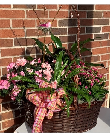 Plants Delivery Rock Hill SC - Cindys Flower Shop