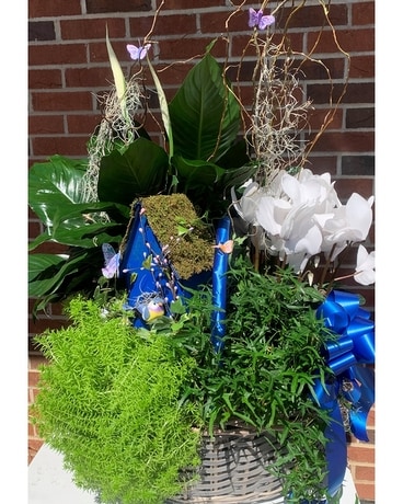 Green Garden Basket Plant