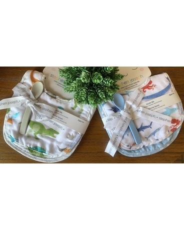 Stephen Joseph Muslin Bib Set Gifts