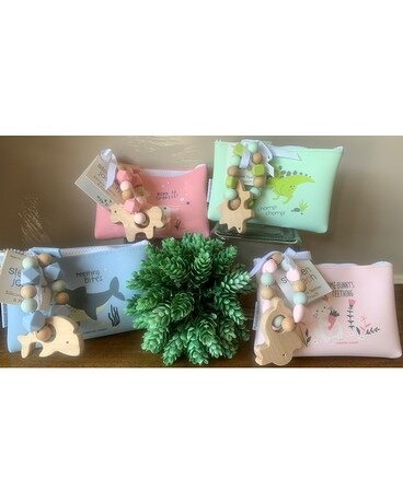 Stephen Joseph Silicone Teether & Pouch Gifts