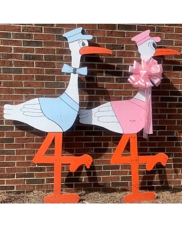 Birth Announcement Stork Gifts