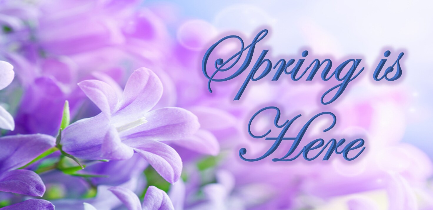 Middlesex Florist Flower Delivery by Hoski Florist & Consignments Shop