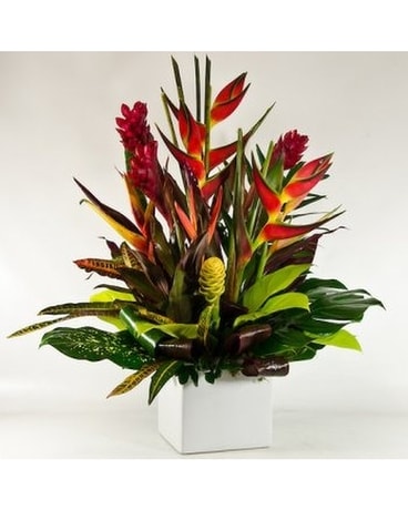 MIX TROPICAL Flower Arrangement