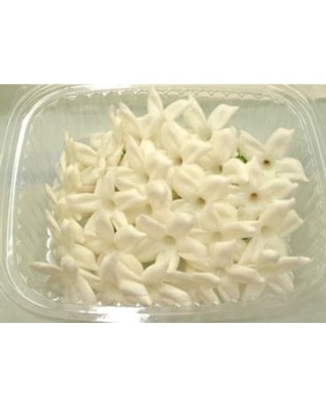 25 Pack Stephanotis Flower Arrangement