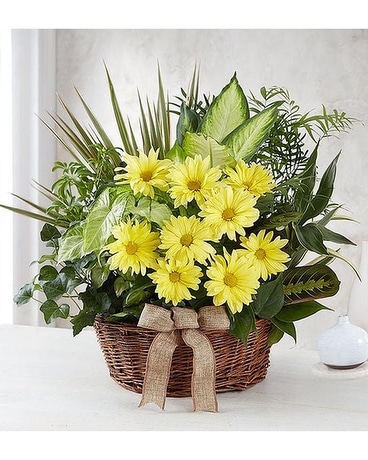 Dish Garden with Fresh Cut Flowers Flower Arrangement