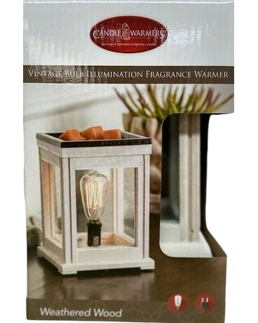 Vintage Bulb Fragrance Warmer Gifts