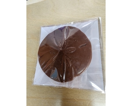 Philips Candy Chocolate Sand Dollar Gifts